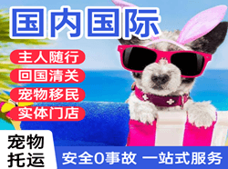唐山机场空运国际宠物托运 【国